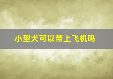 小型犬可以带上飞机吗