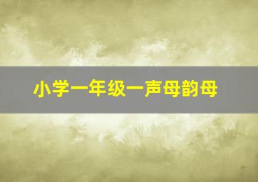 小学一年级一声母韵母