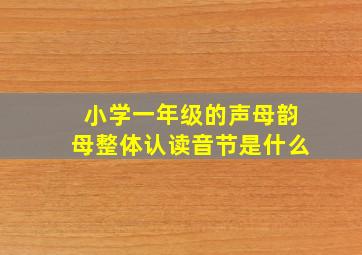 小学一年级的声母韵母整体认读音节是什么