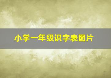 小学一年级识字表图片