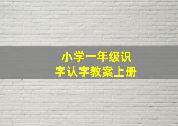 小学一年级识字认字教案上册