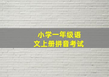 小学一年级语文上册拼音考试