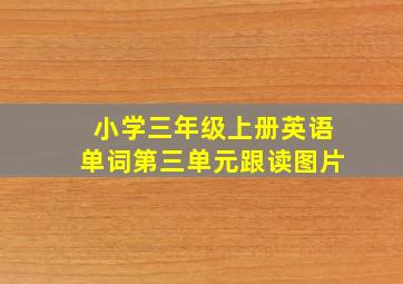 小学三年级上册英语单词第三单元跟读图片