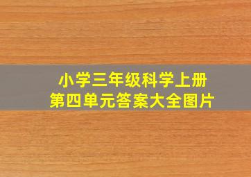 小学三年级科学上册第四单元答案大全图片