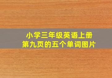 小学三年级英语上册第九页的五个单词图片