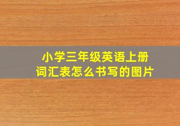 小学三年级英语上册词汇表怎么书写的图片