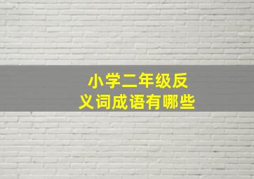 小学二年级反义词成语有哪些