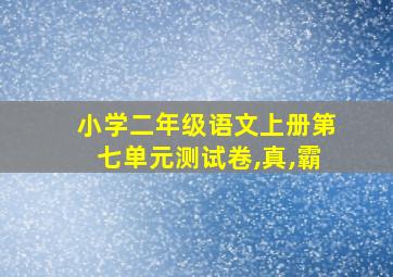 小学二年级语文上册第七单元测试卷,真,霸