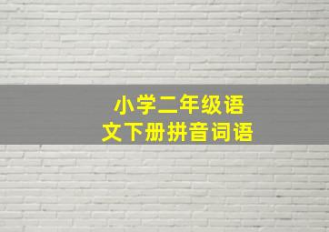 小学二年级语文下册拼音词语