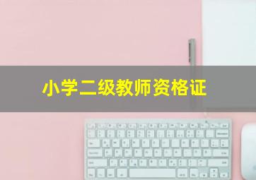 小学二级教师资格证