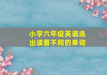 小学六年级英语选出读音不同的单词