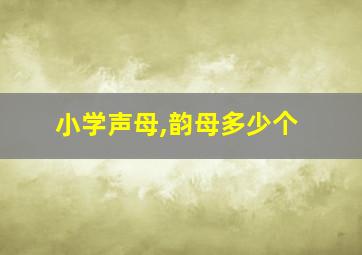 小学声母,韵母多少个