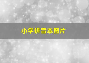 小学拼音本图片