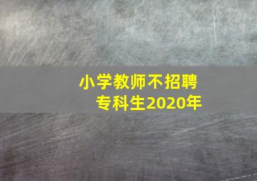 小学教师不招聘专科生2020年