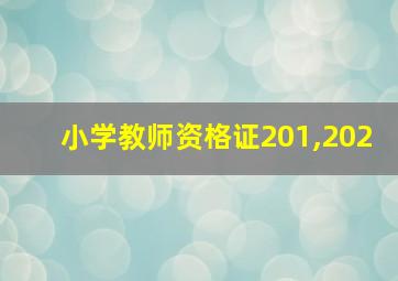 小学教师资格证201,202