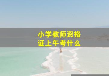 小学教师资格证上午考什么