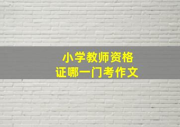 小学教师资格证哪一门考作文