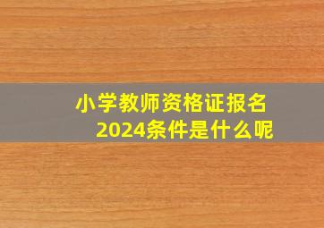 小学教师资格证报名2024条件是什么呢