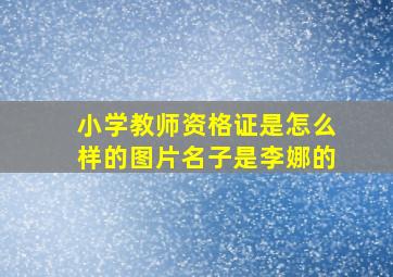 小学教师资格证是怎么样的图片名子是李娜的