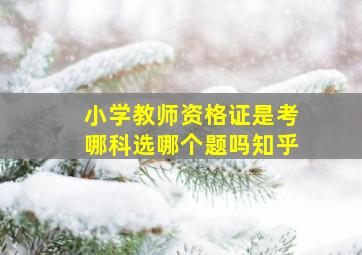 小学教师资格证是考哪科选哪个题吗知乎