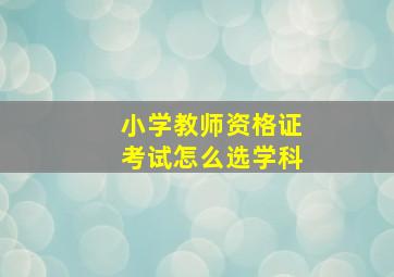 小学教师资格证考试怎么选学科