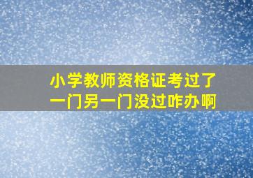 小学教师资格证考过了一门另一门没过咋办啊