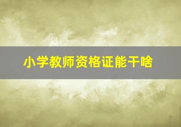 小学教师资格证能干啥