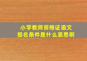 小学教师资格证语文报名条件是什么意思啊