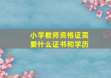 小学教师资格证需要什么证书和学历