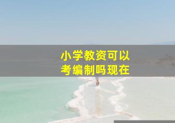 小学教资可以考编制吗现在