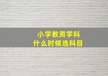 小学教资学科什么时候选科目