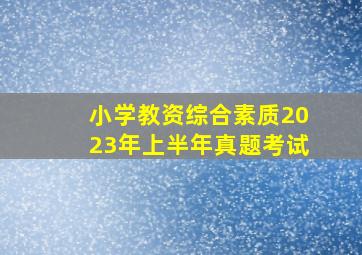 小学教资综合素质2023年上半年真题考试