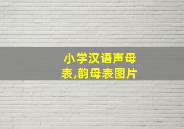 小学汉语声母表,韵母表图片