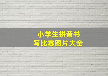 小学生拼音书写比赛图片大全