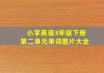 小学英语3年级下册第二单元单词图片大全