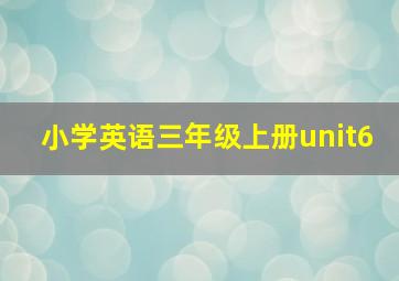 小学英语三年级上册unit6