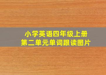 小学英语四年级上册第二单元单词跟读图片