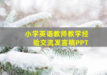 小学英语教师教学经验交流发言稿PPT