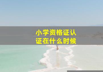 小学资格证认证在什么时候