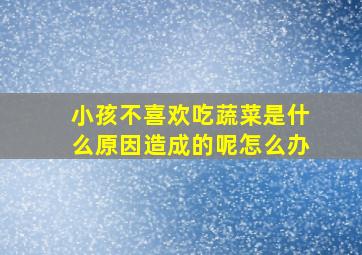 小孩不喜欢吃蔬菜是什么原因造成的呢怎么办