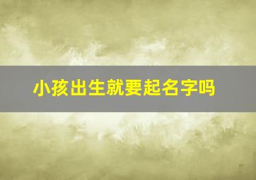 小孩出生就要起名字吗