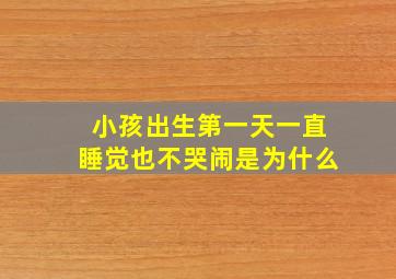 小孩出生第一天一直睡觉也不哭闹是为什么