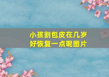 小孩割包皮在几岁好恢复一点呢图片