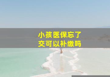 小孩医保忘了交可以补缴吗