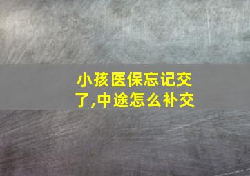 小孩医保忘记交了,中途怎么补交