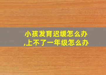 小孩发育迟缓怎么办,上不了一年级怎么办