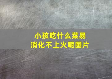 小孩吃什么菜易消化不上火呢图片