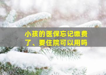 小孩的医保忘记缴费了、要住院可以用吗