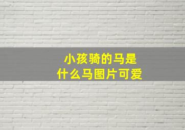 小孩骑的马是什么马图片可爱