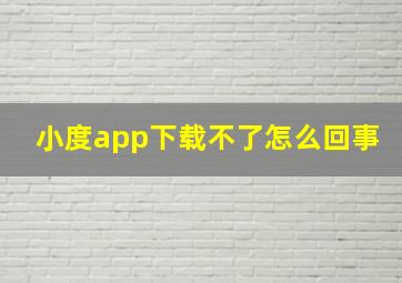 小度app下载不了怎么回事